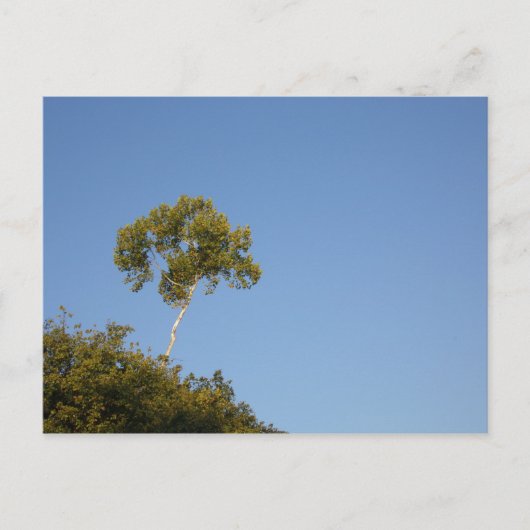 Benutzerdefiniert von Crowd Tree Postkarten abweic (Vorderseite)