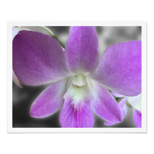 Benutzerdefinierte 16 x 20 Foto Erweiterung