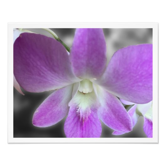 Benutzerdefinierte 16 x 20 Foto-Erweiterung Fotodruck (Vorne)