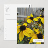 Benutzerdefinierte Black Mit Augen Susan Garden Po Postkarte (Vorne/Hinten)