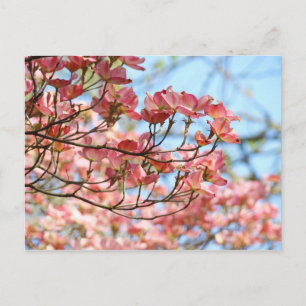 Benutzerdefinierte Blumenpostkarten Pink Dogwood B Postkarte