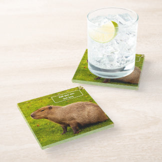 Benutzerdefinierte Capybara Glasuntersetzer