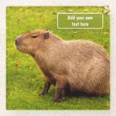 Benutzerdefinierte Capybara Glasuntersetzer (Vorderseite)