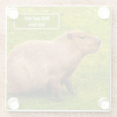 Benutzerdefinierte Capybara Glasuntersetzer (Rückseite)