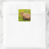 Benutzerdefinierte Capybara Quadratischer Aufkleber (Tasche)