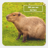 Benutzerdefinierte Capybara Quadratischer Aufkleber (Vorderseite)