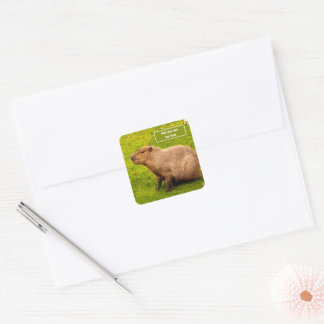 Benutzerdefinierte Capybara Quadratischer Aufkleber