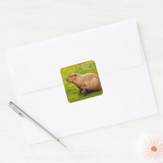 Benutzerdefinierte Capybara Quadratischer Aufkleber (Umschlag)