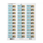 Benutzerdefinierte Cats-Rücksendeadressen-Aufklebe (Vorne)