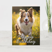 Benutzerdefinierte Collie-Happy-Birthday-Karte