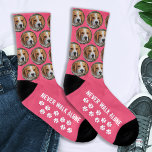 Benutzerdefinierte Dockingsocken für Fotos Socken<br><div class="desc">Feiern Sie Ihre Liebe mit unseren zauberhaften Dog Foto Socks für Ihren wütenden Freund! Diese Socken sind für Hundefreunde konzipiert und sind der perfekte Weg, um Ihr Jungtier nah behalten, auch wenn sie nicht an Ihrer Seite liegen. Mit dem herzerwärmenden Satz "Nie allein laufen" erinnern diese Socken an die unzerbrechliche...</div>