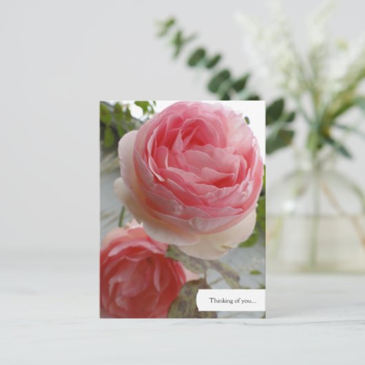 Benutzerdefinierte englische Rose Garden Postkarte (Stehend Vorderseite)