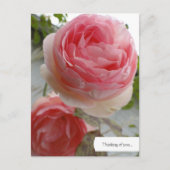 Benutzerdefinierte englische Rose Garden Postkarte (Vorderseite)