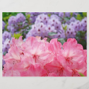 Benutzerdefinierte Flyer erstellen Pink Rhodies Fl