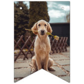 Benutzerdefinierte Foto-Flags Geburtstagshunde  Wimpelkette (Zweite Fahne)