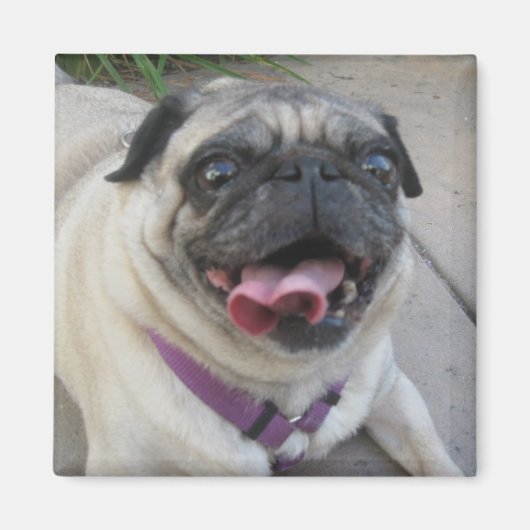 Benutzerdefinierte Foto-Magnete Magnet (Vorne)