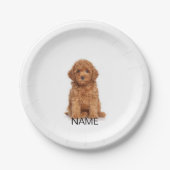 Benutzerdefinierte Foto-Name-Geburtstagspartei Pappteller (Vorderseite)