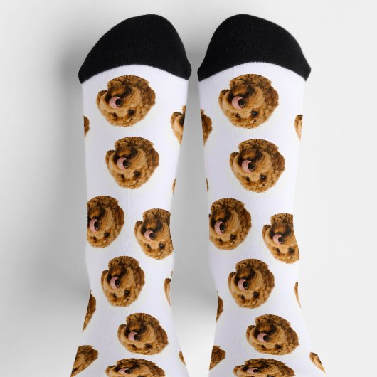 Benutzerdefinierte Foto-Socken Socken (Oben)