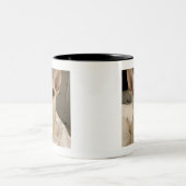 Benutzerdefinierte Foto-Tasse für Haustiere - Pers Zweifarbige Tasse (Mittel)