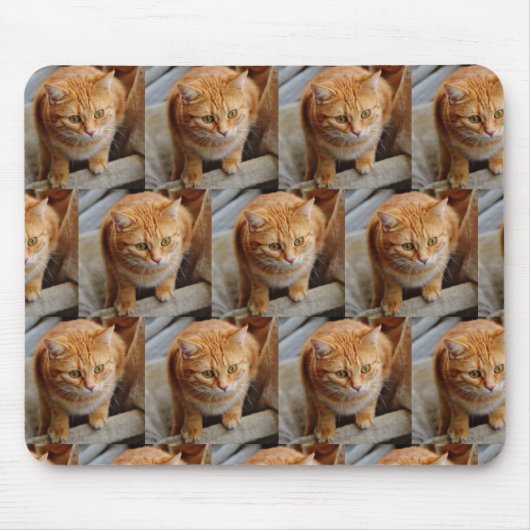 Benutzerdefinierte Fotomaterial-Collage-Stammreihe Mousepad (Vorne)