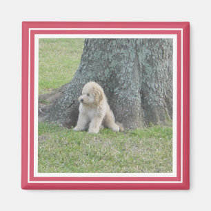Benutzerdefinierte Fotoplatte Bright Hot Pink & Wh Magnet