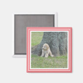 Benutzerdefinierte Fotoplatte Soft Pink Coral & Wh Magnet (Vorderseite/Rückseite)