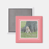 Benutzerdefinierte Fotoplatte Soft Pink Coral & Wh Magnet (Vorderseite/Rückseite)
