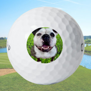 Benutzerdefinierte Golfbälle Bulldogge Foto Erstel