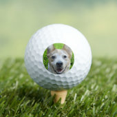 Benutzerdefinierte Golfbälle mit Hundebild Erstell (Insitu T-Shirt)