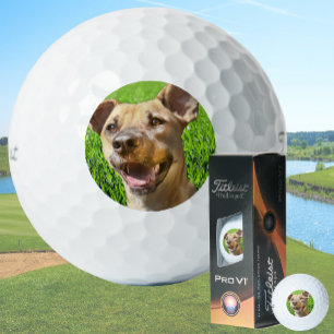 Benutzerdefinierte Golfbälle mit Hundebild Erstell
