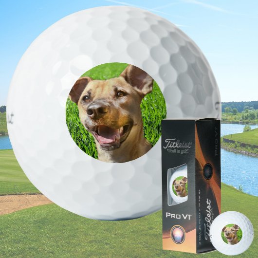 Benutzerdefinierte Golfbälle mit Hundebild Erstell