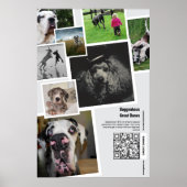 Benutzerdefinierte Great Dane Fotocollage Poster (Vorne)