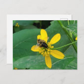 Benutzerdefinierte Hummeln auf einer Gelben Blume Postkarte (Vorne/Hinten)