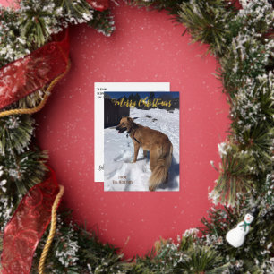 Benutzerdefinierte Hunde Foto Foil Holiday Postkar Folien Feiertagspostkarte