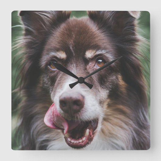 Benutzerdefinierte Hundeuhr, Personalisierte Pet-U Quadratische Wanduhr (Vorderseite)