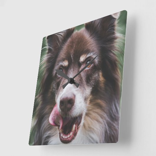 Benutzerdefinierte Hundeuhr, Personalisierte Pet-U Quadratische Wanduhr (Winkel)