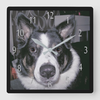 Benutzerdefinierte Hundsuhr Quadratische Wanduhr
