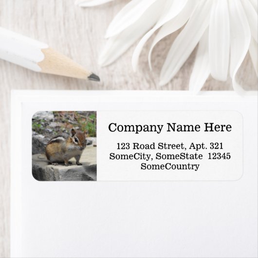 Benutzerdefinierte Info + Niedlicher Chipmunk wie (Insitu)