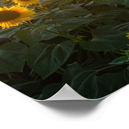 Benutzerdefinierte Inspirationsbibliotheken Poster (Ecke)