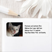 Benutzerdefinierte Instagramm-Fotovorlage (Insitu)