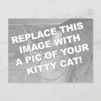 Benutzerdefinierte Kitty-Katze Postkarte
