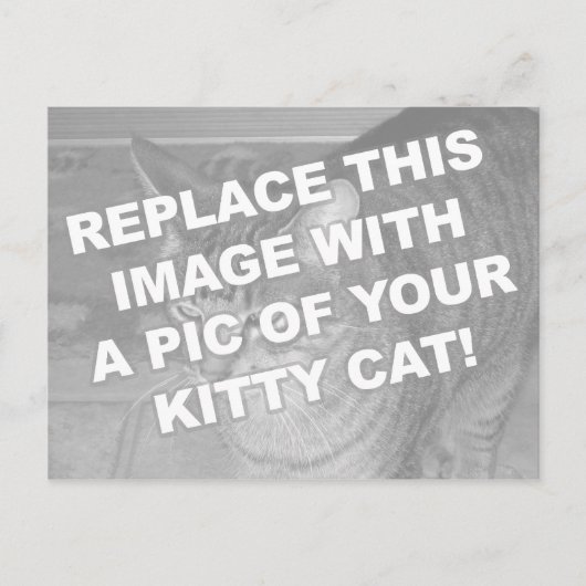 Benutzerdefinierte Kitty-Katze Postkarte (Vorderseite)