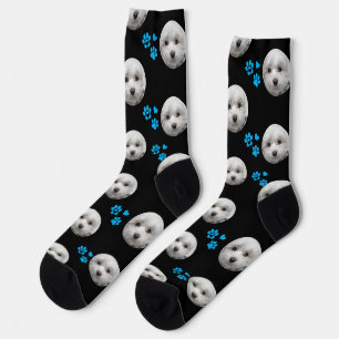 Benutzerdefinierte malteser Socken — Personalisier