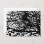 Benutzerdefinierte Natur Postcard Wildlife Foto Postkarte (Vorne/Hinten)