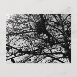 Benutzerdefinierte Natur Postcard Wildlife Foto Postkarte