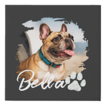 Benutzerdefinierte Pet-Foto- und Namens-Typografie