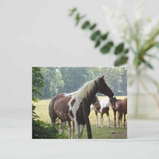 Benutzerdefinierte Pferdepostkarten Postkarte (Stehend Vorderseite)