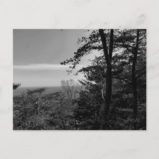 Benutzerdefinierte Postkarte mit Schwarz-Weiß-Foto (Vorderseite)