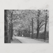 Benutzerdefinierte Postkarten "Archway" (Vorderseite)