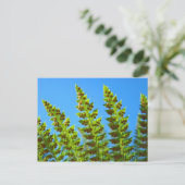 Benutzerdefinierte Postkarten Blue Sky Green Fores (Stehend Vorderseite)